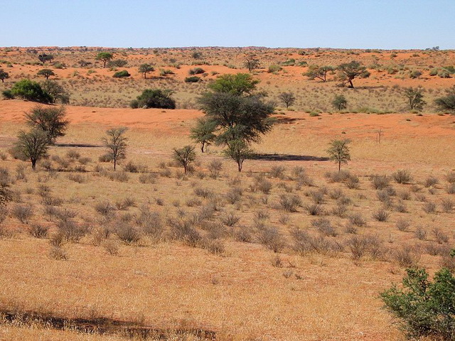Kalahari-Desert-Namibia