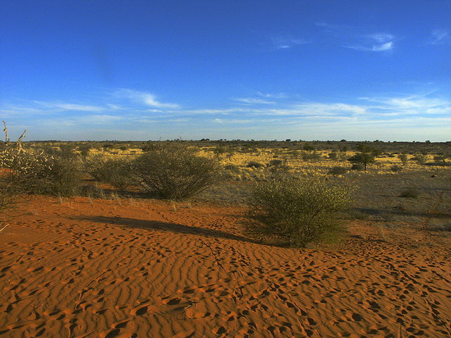 KalahariDesert-Mariental-Botswana-Border