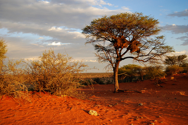 largest deserts world