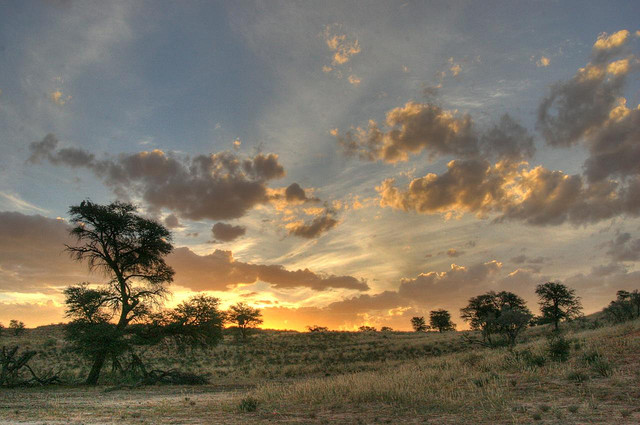 Sunset at Kalahari